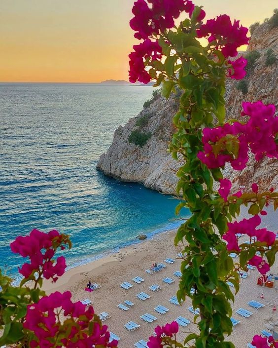 Kaş